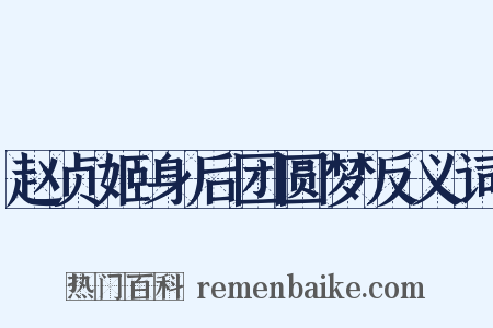 赵贞姬身后团圆梦反义词是什么意思的图片